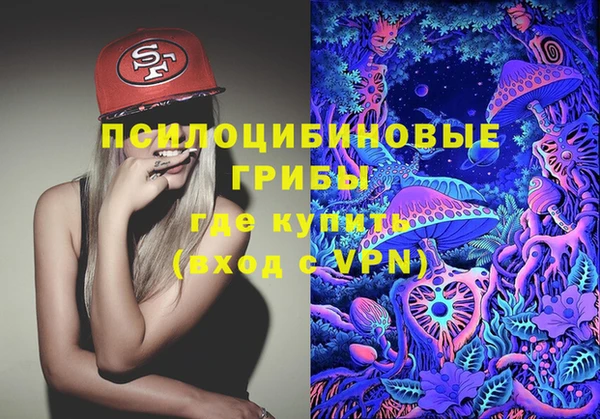 ПСИЛОЦИБИНОВЫЕ ГРИБЫ Абинск