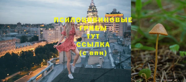 ECSTASY Алексеевка